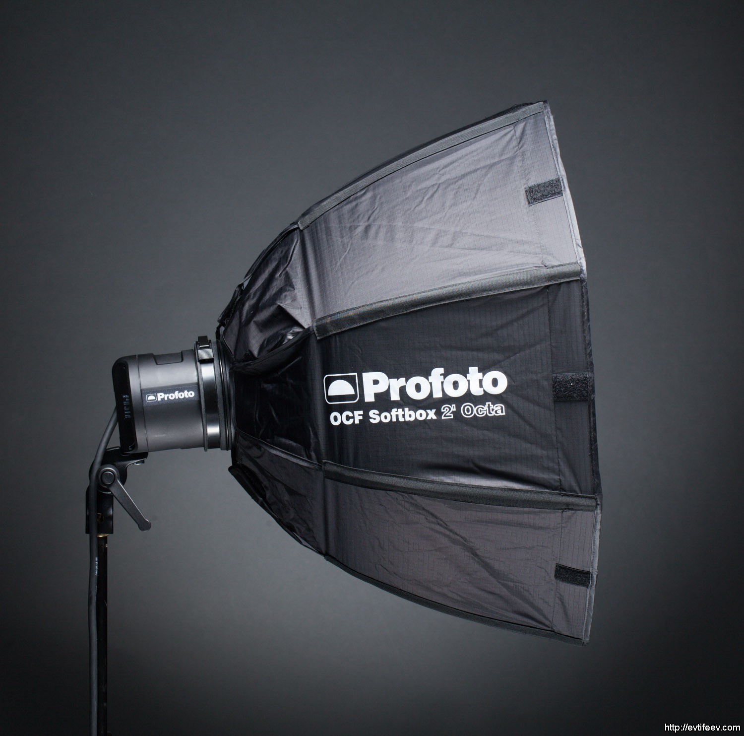 Profoto. Profoto b10x Plus 500 AIRTTL. Profoto b10x 250 AIRTTL. Октобокс ПРОФОТО. Софтбокс Profoto OCF Softbox 2' Octa.