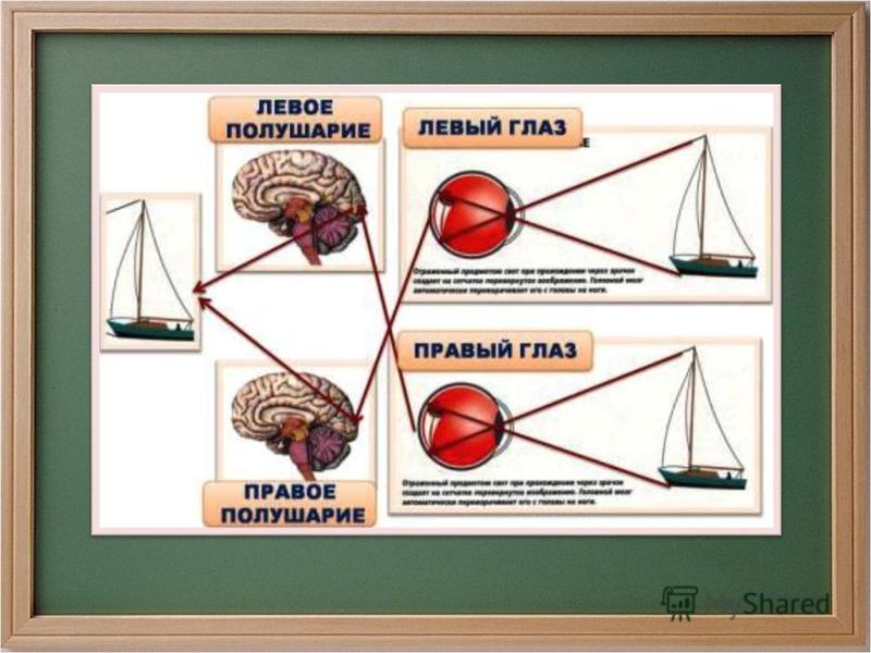 Системы окружающий мир 3 класс